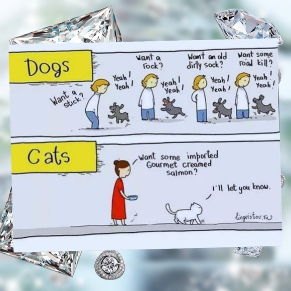 About .. 🕊️ - Picture 10 of 10